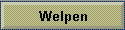 Welpen
